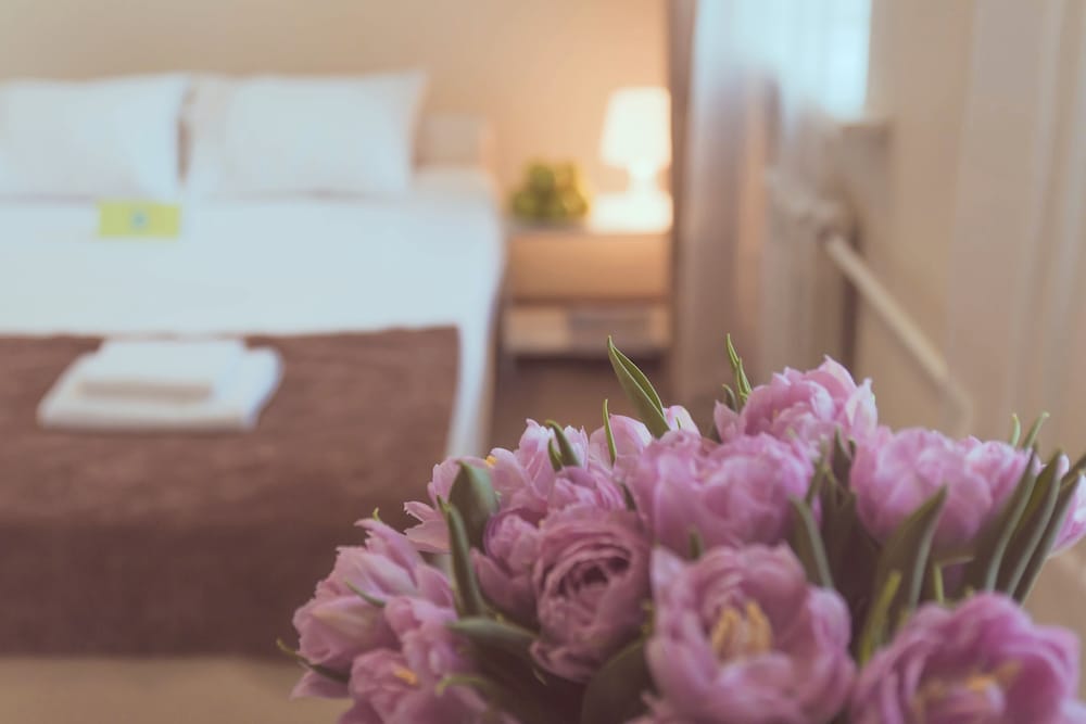 Superior Room photo 2