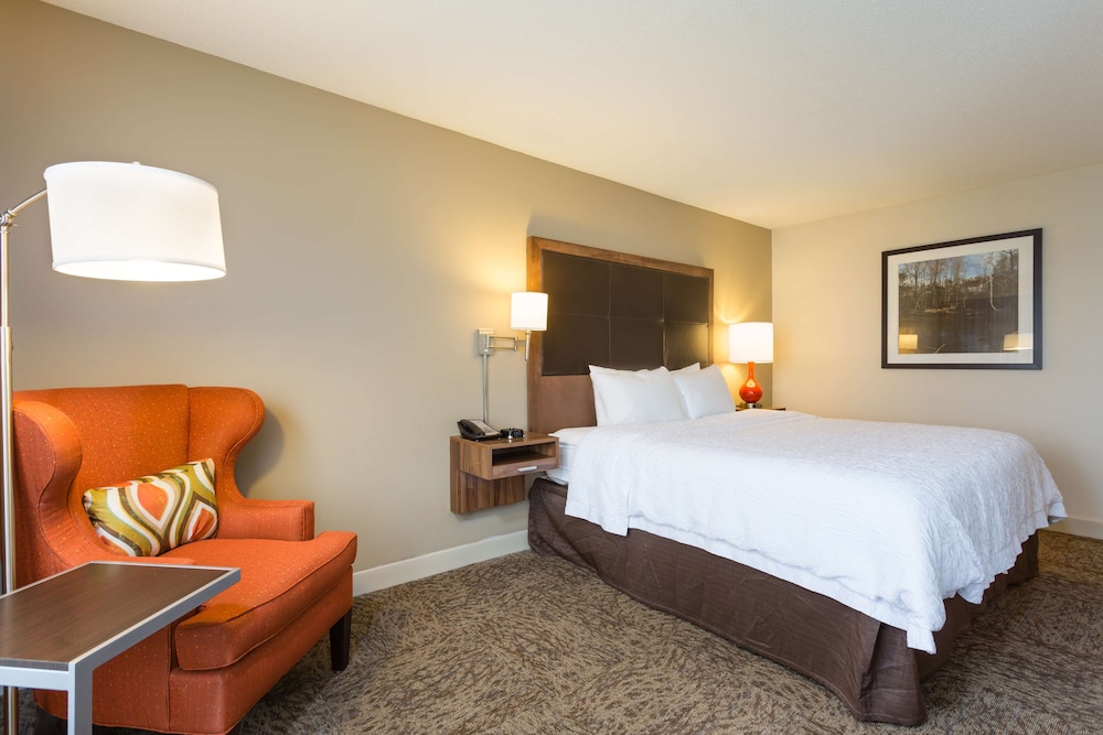 Studio, 1 King Bed, Accessible, Bathtub photo 3