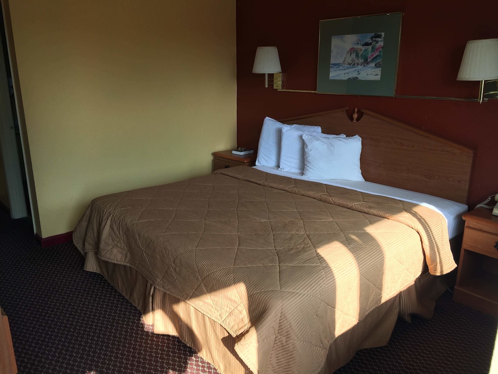 Room, 1 King Bed photo 3