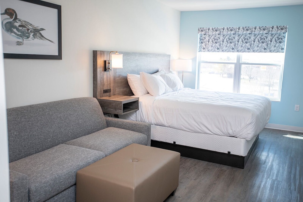 Basic Studio Suite, 1 King Bed