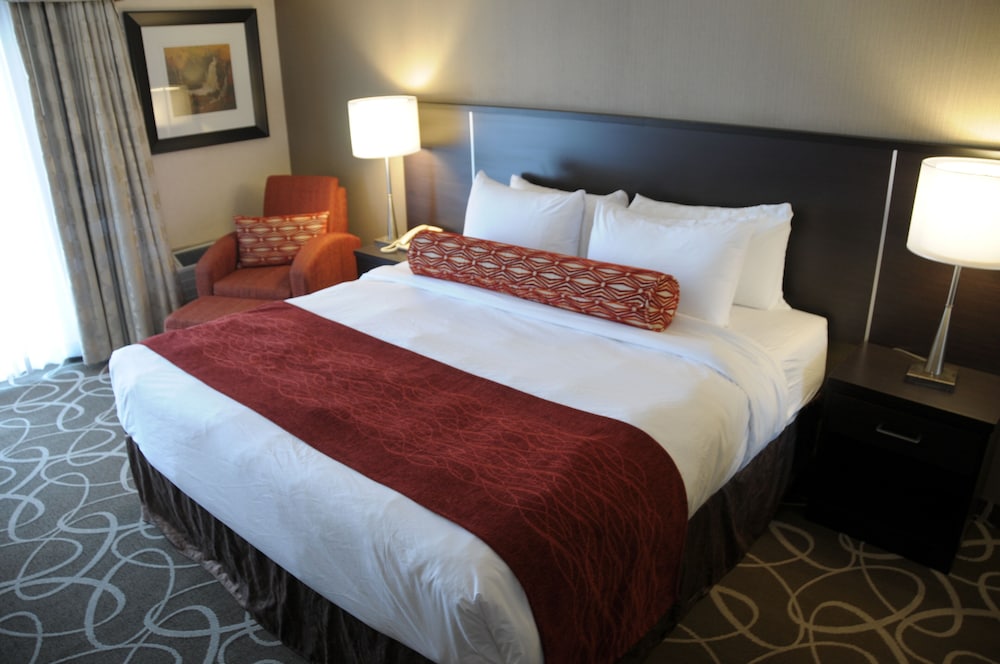 Room, 1 Queen Bed photo 1