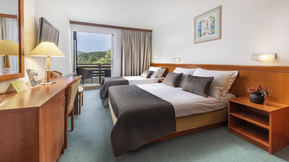 Superior Double Room, Lake Side (with Extra Bed) photo 1