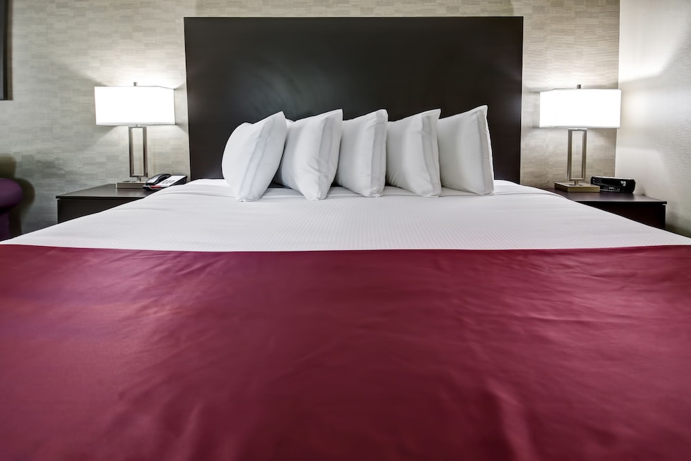 Business Room, 1 King Bed, Non Smoking, Refrigerator photo 2