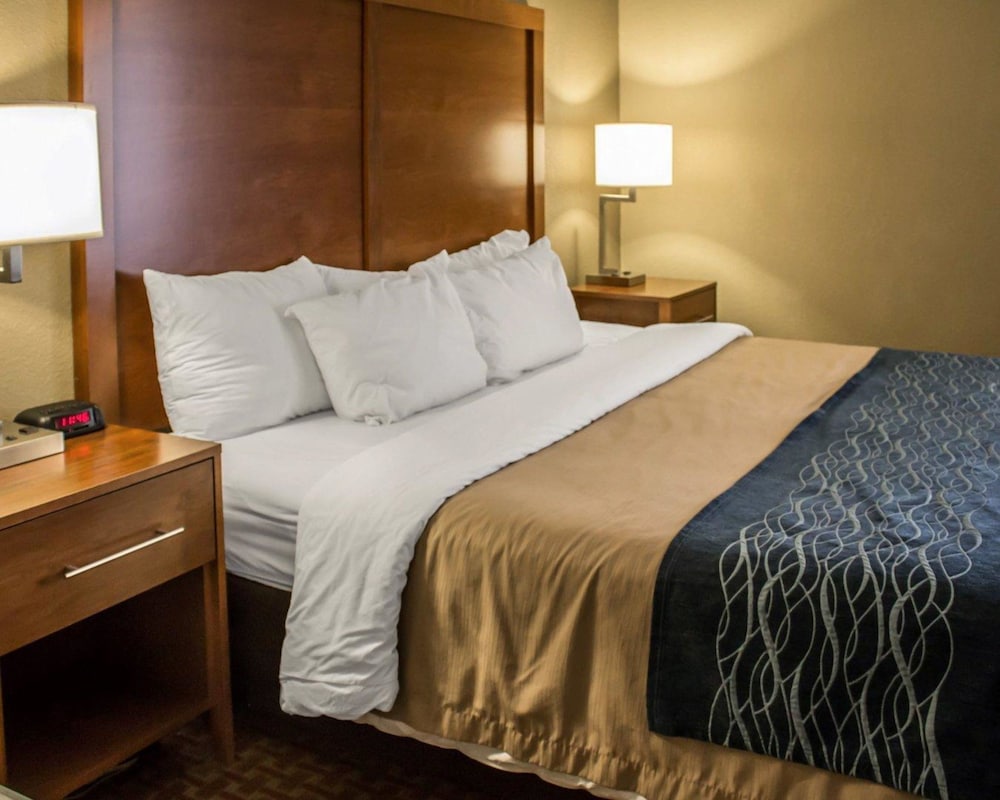Room, 1 King Bed, Accessible, Non Smoking - Photo 4