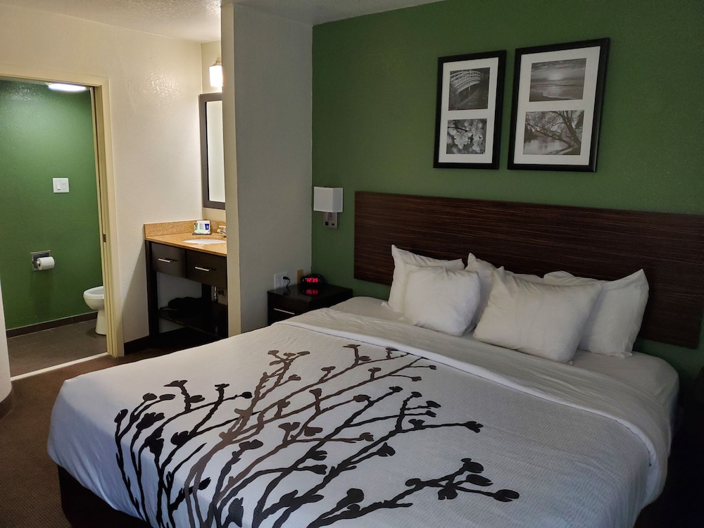 Room, 1 King Bed, Accessible, Non Smoking - Photo 3