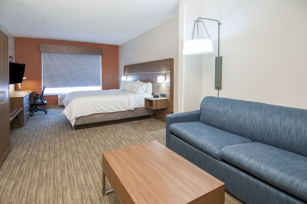 Suite, 1 King Bed photo 3