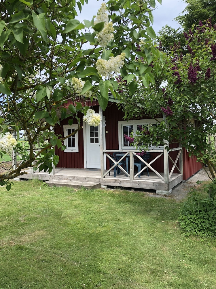Family Cabin photo 1