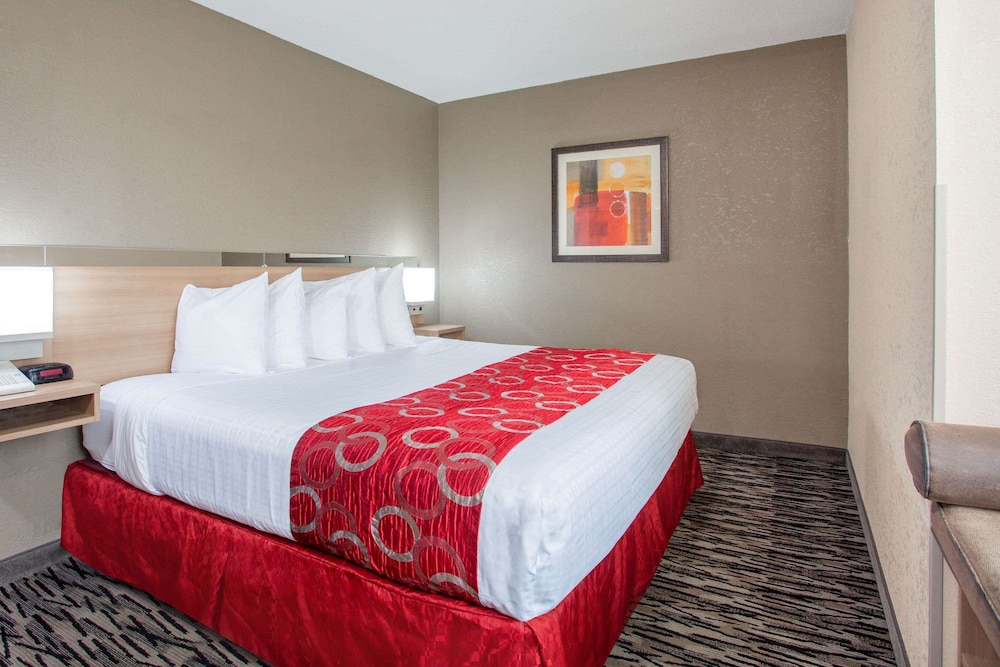 Room, 1 King Bed, Accessible, Non Smoking (Mobility/Roll-In Shower) - Photo 1