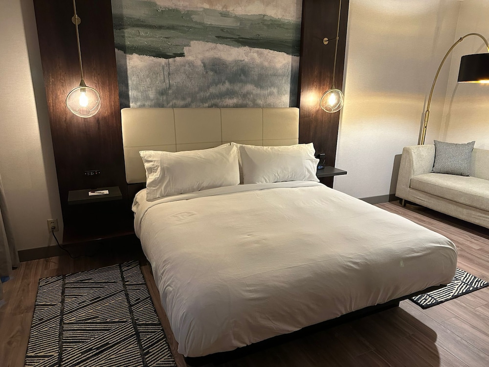 Room, 1 King Bed (Mobility Accessible, Roll-In Shower) - Photo 7