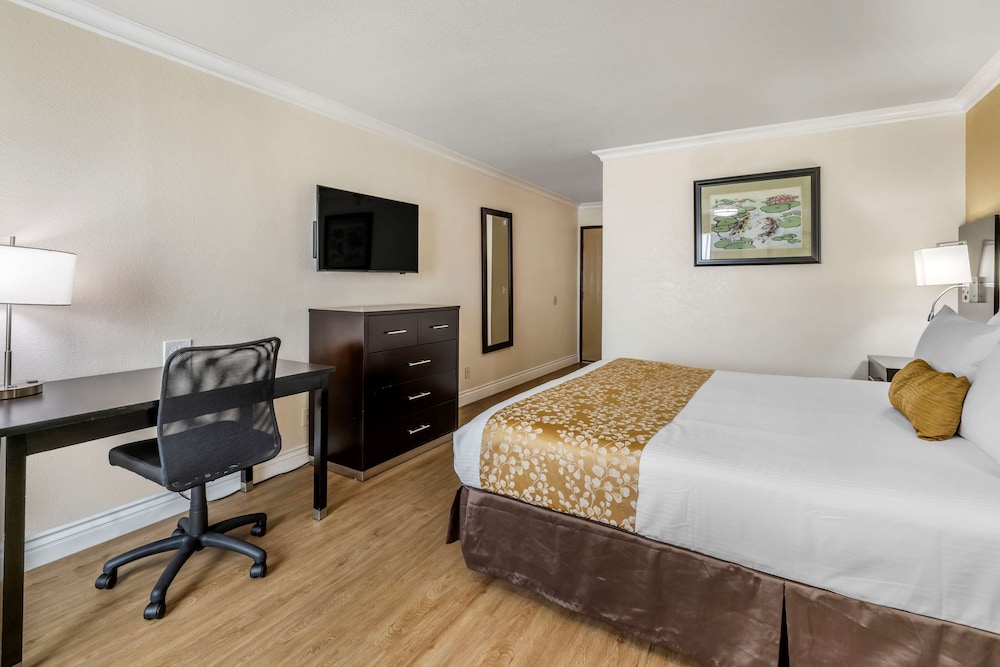 Standard Room, 1 King Bed, Non Smoking, Refrigerator - Photo 3