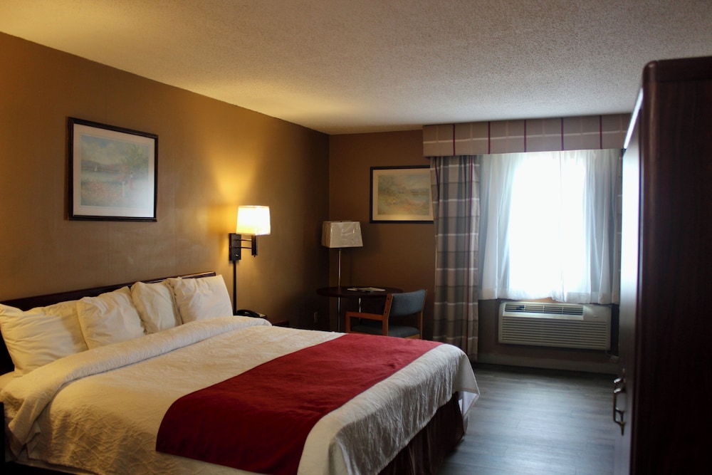Room, 1 King Bed, Non Smoking photo 2