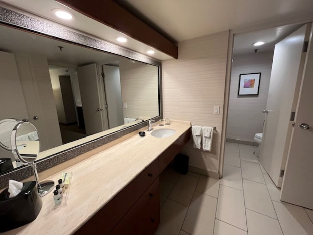 Executive Suite, 1 King Bed, Executive Level - Photo 15