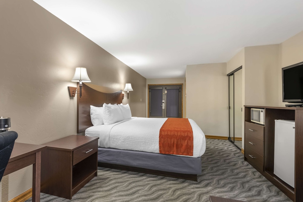 Standard Room, 1 King Bed, Non Smoking, Refrigerator & Microwave (Walk-in Shower;with Sofabed) - Photo 3