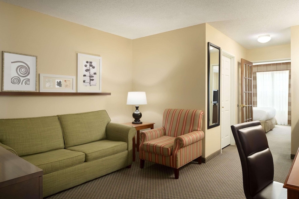 Studio Suite, 1 King Bed with Sofa bed, Non Smoking