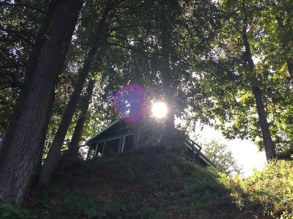 Cottage (Green) photo 3