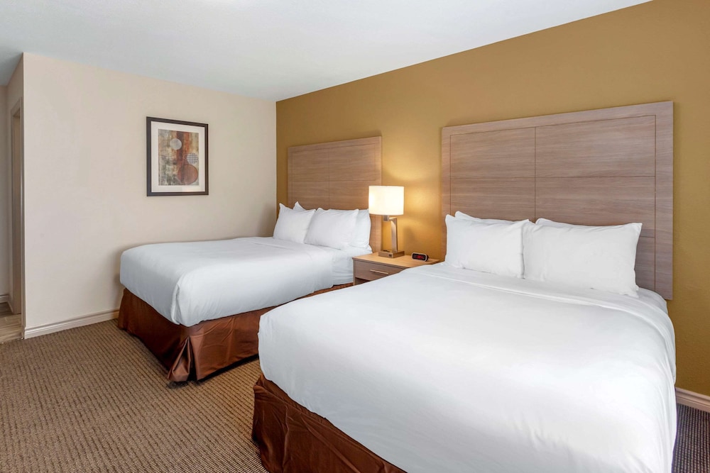 2 Double Beds - Photo 2