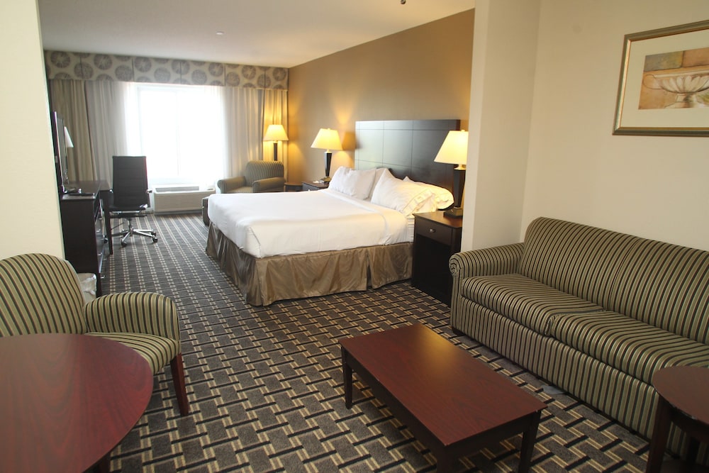 Suite, 1 King Bed with Sofa bed - Photo 1