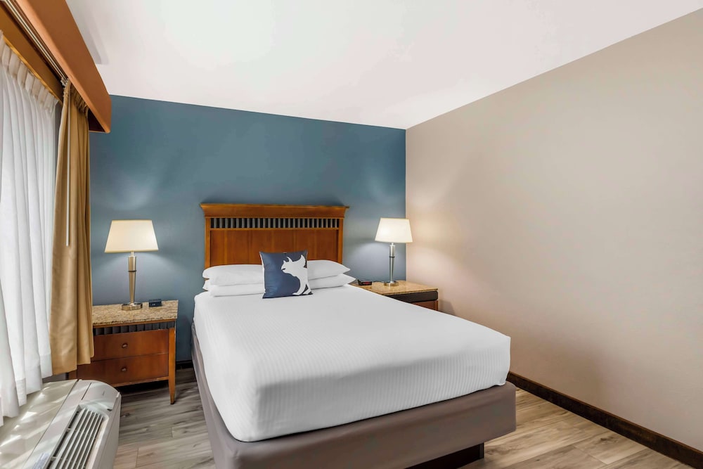 Suite, 1 King Bed with Sofa bed, Accessible, Non Smoking (with Sofabed) - Photo 2