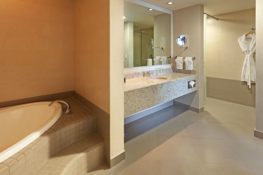 Suite, 1 King Bed - Photo 16