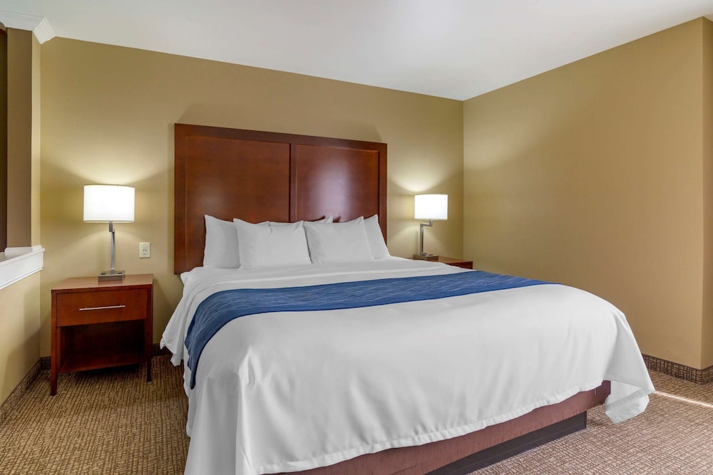 Suite, 1 King Bed with Sofa bed, Non Smoking photo 3