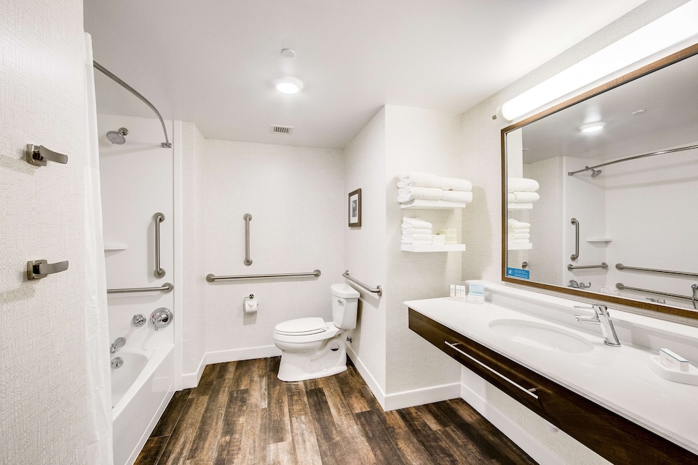 Suite, 1 King Bed with Sofa bed, Accessible, Bathtub
