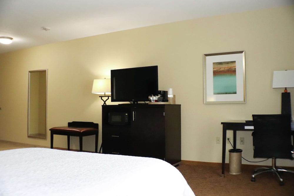 Room, 1 King Bed, Accessible, Bathtub