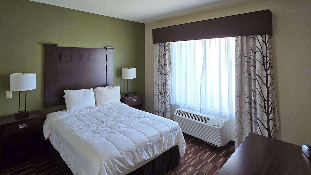 Room, 1 Queen Bed, Non Smoking photo 1