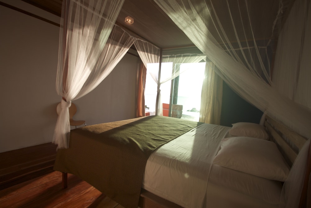 Double Room, 1 King Bed, Ocean View photo 1