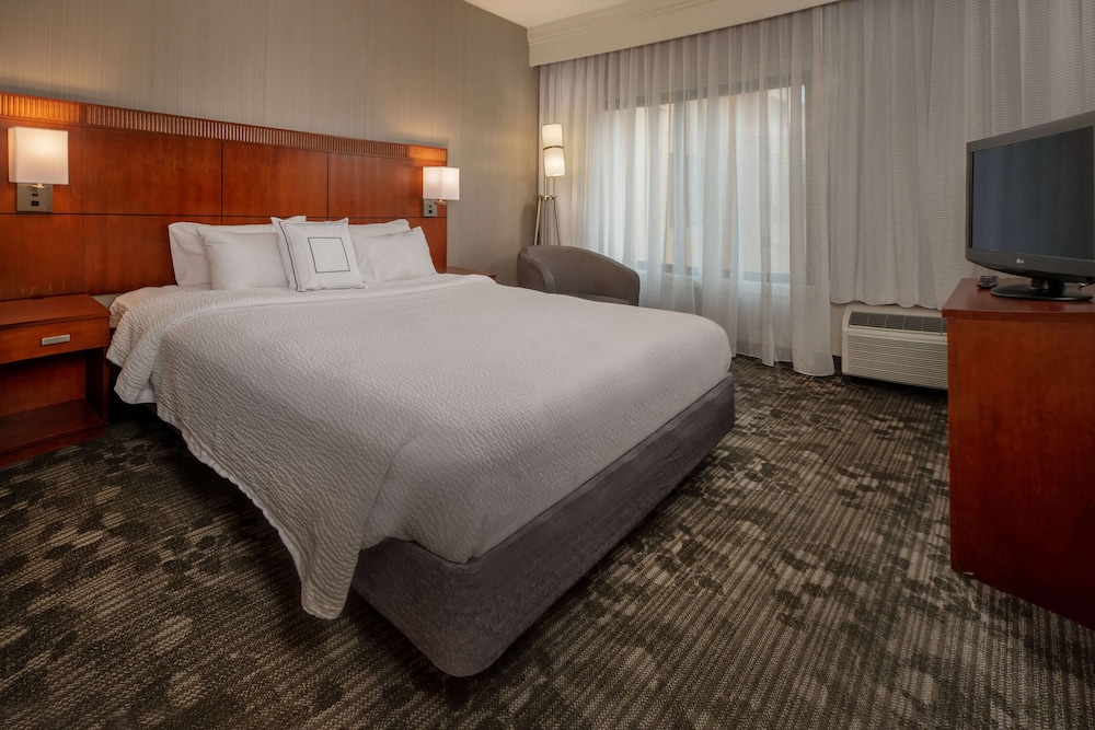 Suite, 1 King Bed with Sofa bed