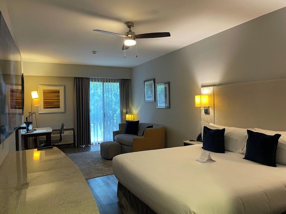 Superior Room, 1 King Bed, Non Smoking - Photo 1