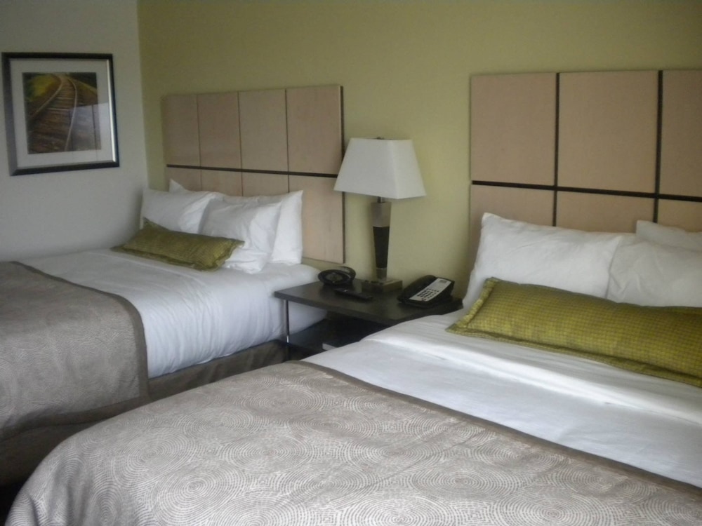 Studio Suite, 2 Queen Beds, Accessible (Communications) photo 3