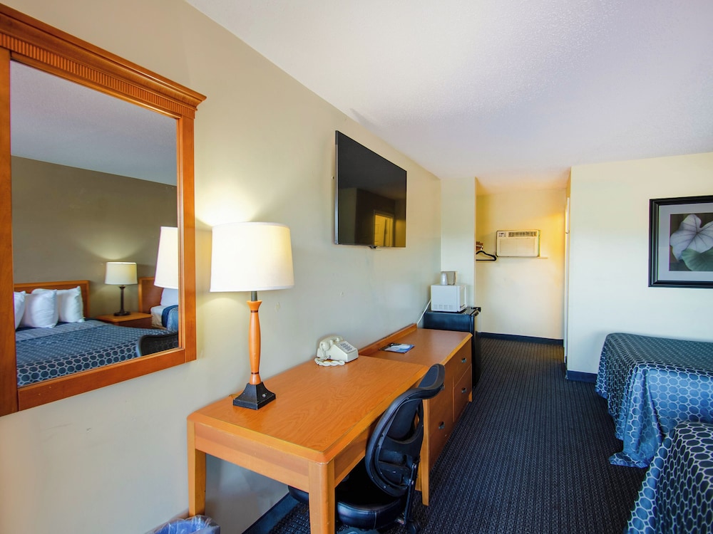 Single Room, 2 Double Beds photo 3