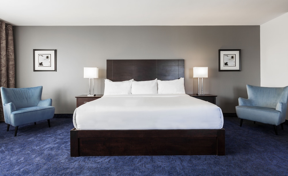 Suite, 1 King Bed with Sofa bed photo 2