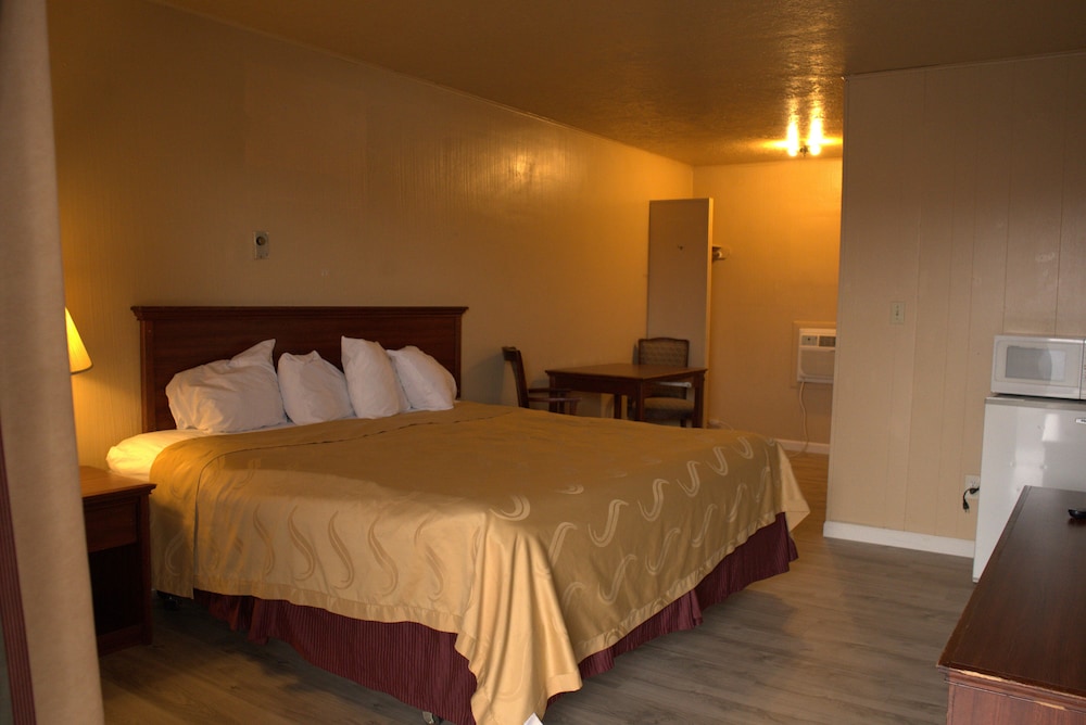 Single Room, 1 King Bed