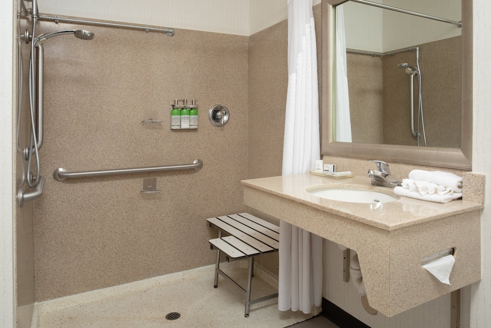 Suite, 1 Bedroom, Mobility Accessible - Photo 1