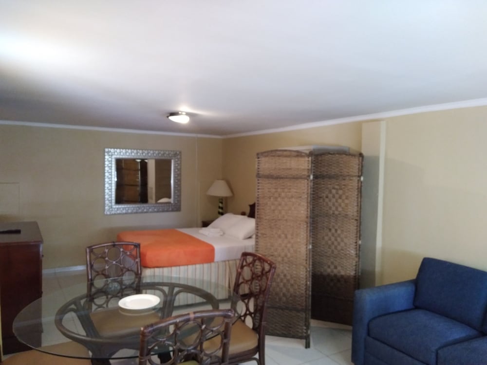 Junior Studio Suite, 1 Queen Bed with Sofa bed photo 2