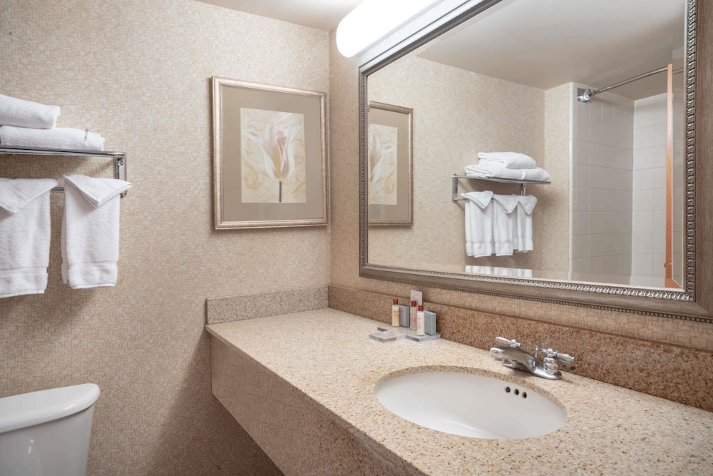 Wingate by Wyndham Charlotte Airport I-85/I-485, Foto 3