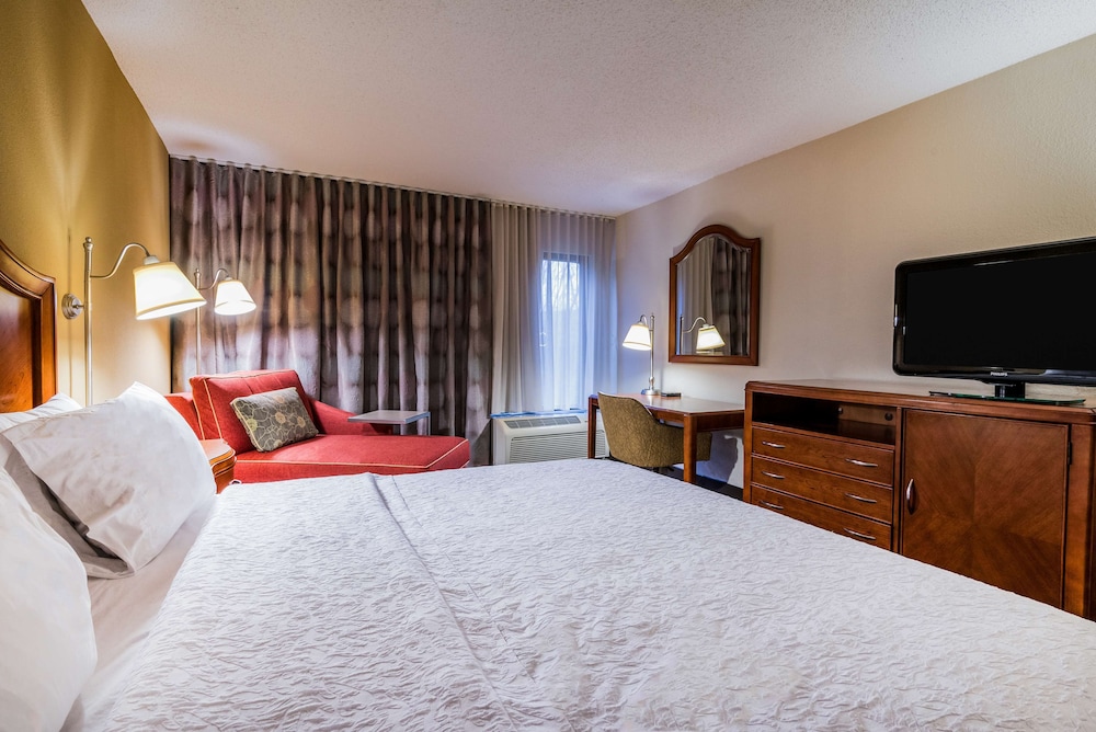 Room, 1 King Bed, Accessible, Bathtub
