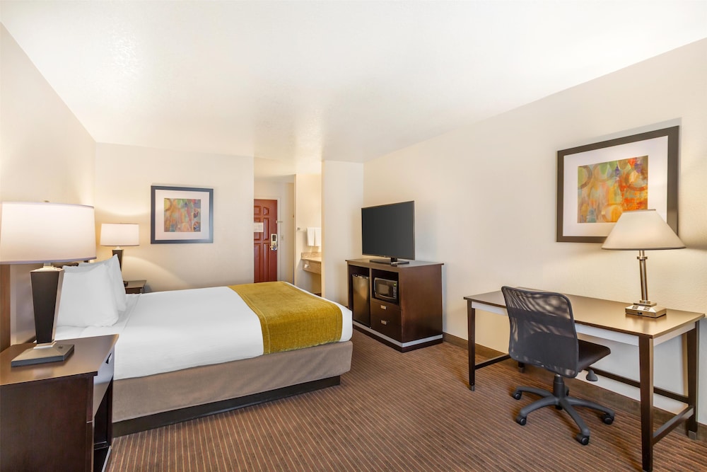 Standard King Room with One King Bed and Refrigerator (Non Smoking) photo 1