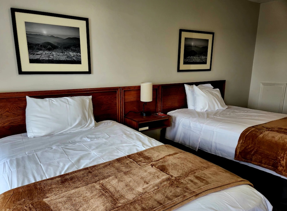 No pets - Basic Double Room, 2 Double Beds, Non Smoking photo 1