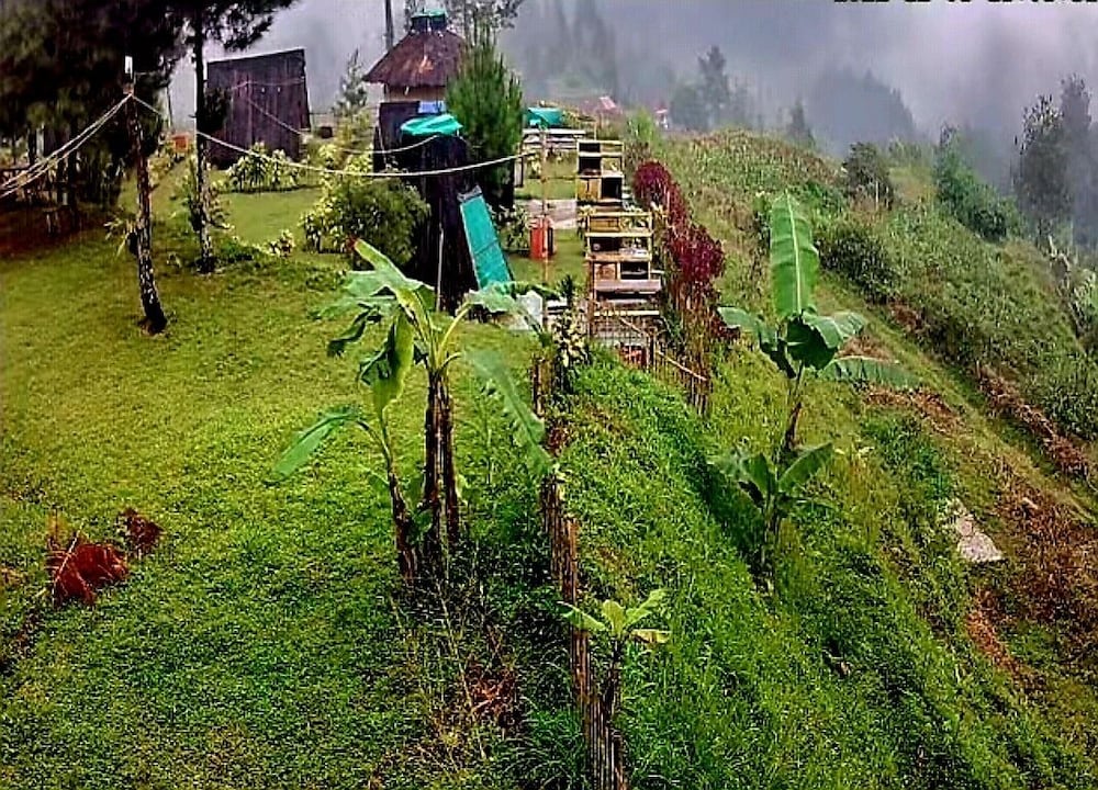 Panoramic Cabin, 1 Bedroom, Smoking, Mountain View photo 2