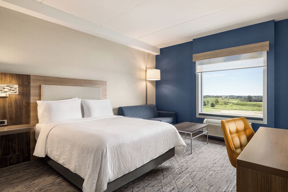 Suite, 1 King Bed with Sofa bed