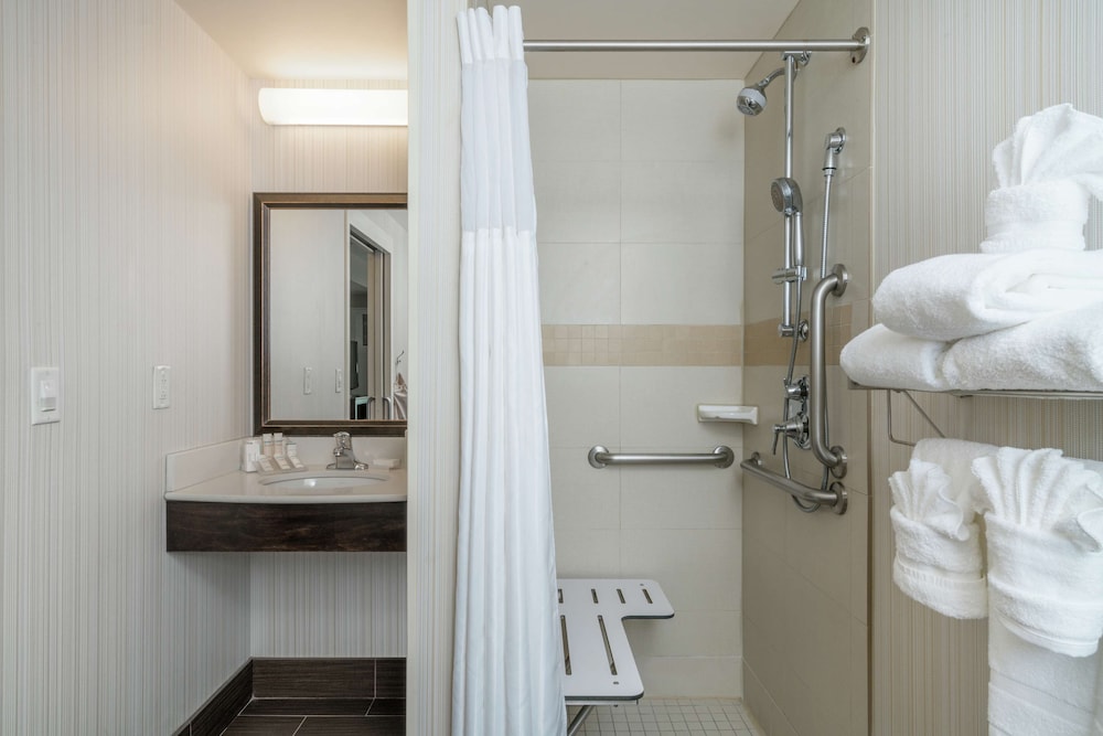 Suite, 1 King Bed (Roll-In Shower) photo 3