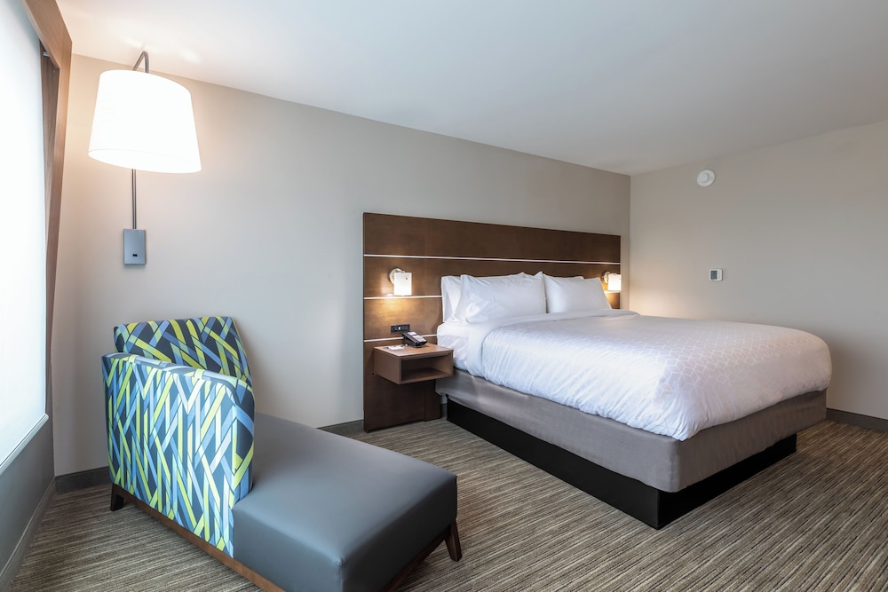 Room, 1 King Bed, Accessible (Mobility, Accessible Tub) - Photo 4