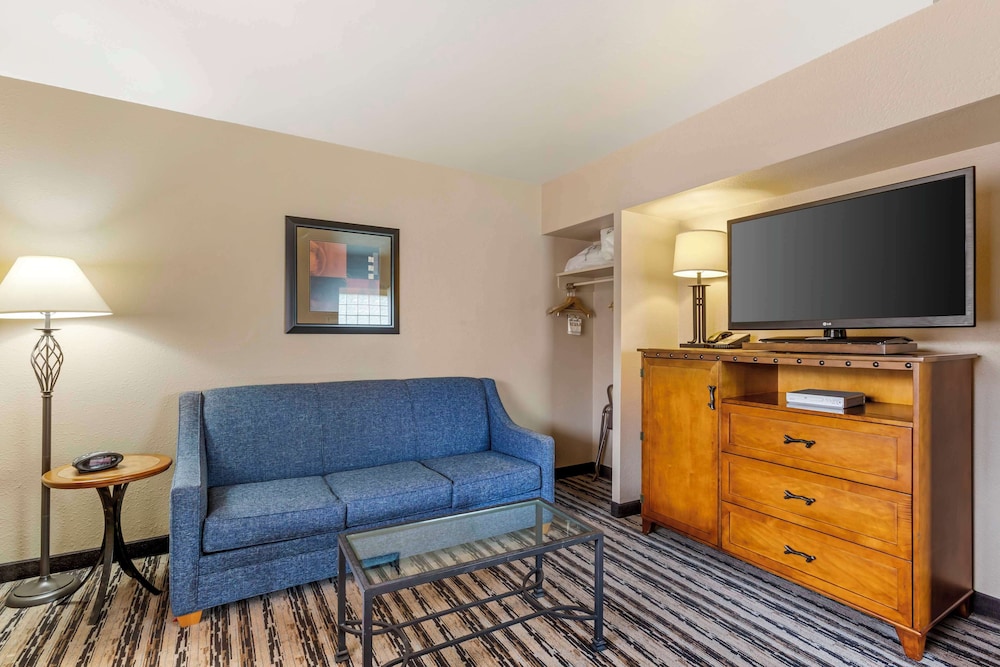 Suite, 1 King Bed, Non Smoking, Microwave (with Sofabed) photo 1