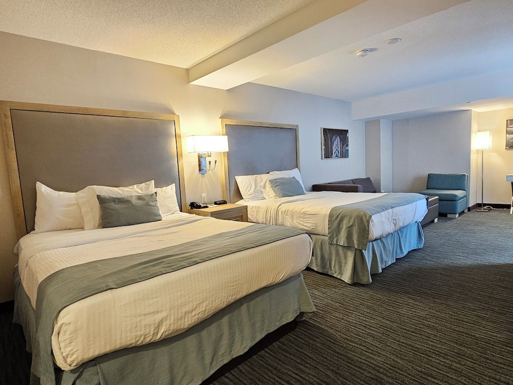 Studio Guest Room, 2 Queen beds & Sofa bed - Photo 2
