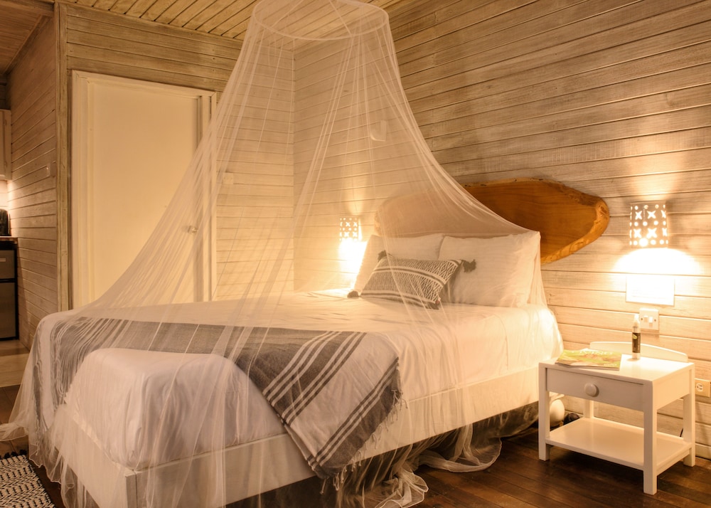 Studio, 1 Queen Bed (Main House) photo 2