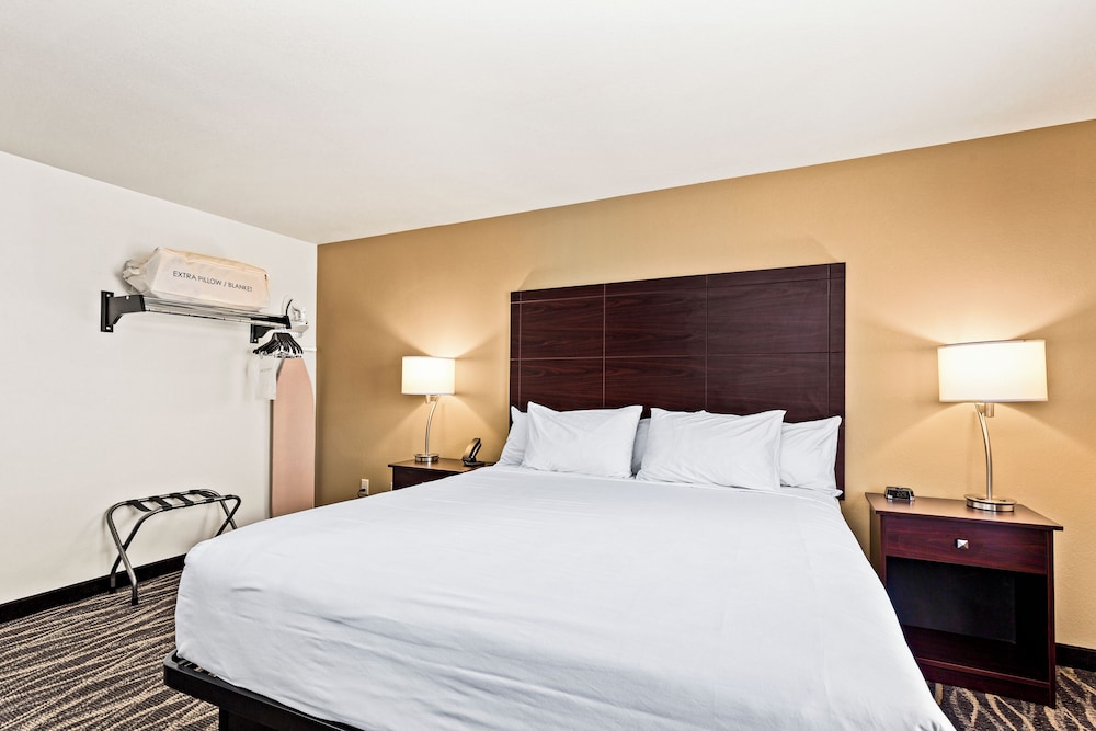 Suite, 1 King Bed with Sofa bed, Non Smoking (Stay Suite Audible/Visual Alert) - Photo 8