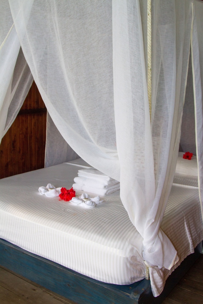 Tropical Honeymoon photo 1