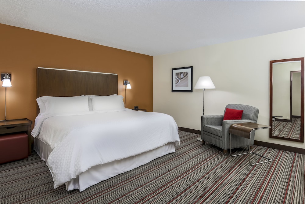Suite, 1 Bedroom photo 3